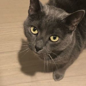 Meet your Posher, Kuan-ting